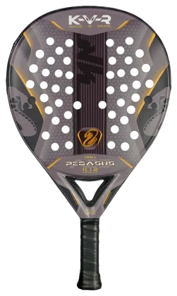 Akkeron Black Pegasus Pro 2025