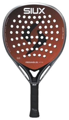 Siux Pegasus Elite 4 2026