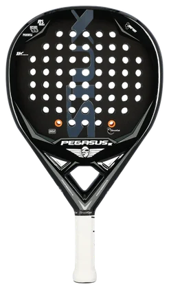 Siux Pegasus Grafeno 1k 2021
